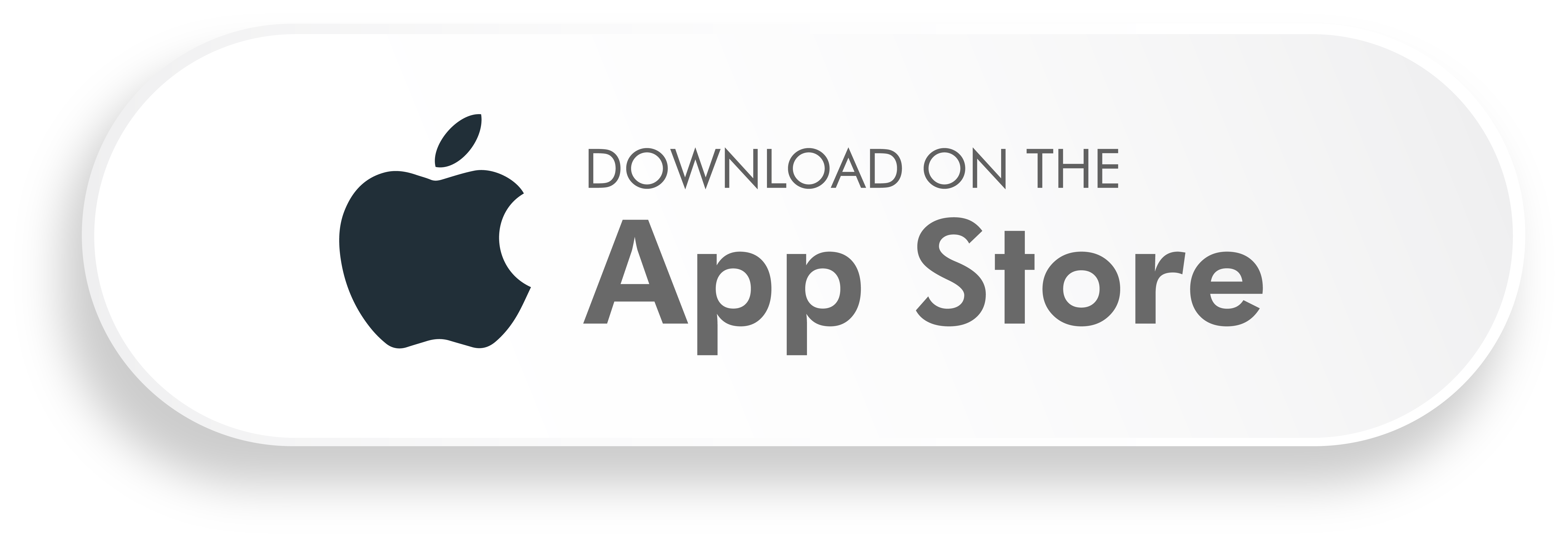 Download Scanlay on the App Store